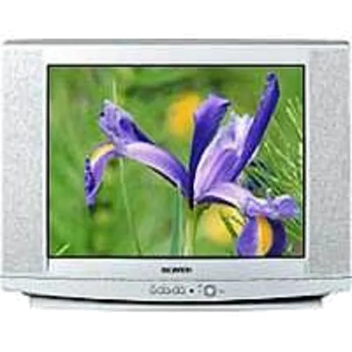 Ремонт блока управления Samsung CS-29U2 WTR