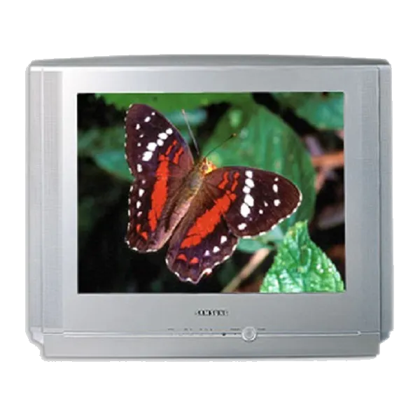 Ремонт блока управления Samsung CS-21V5 R