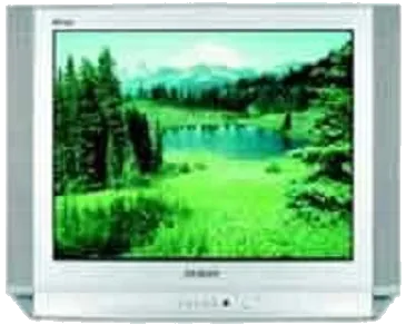 Ремонт блока управления Samsung CS-29D8 WTR