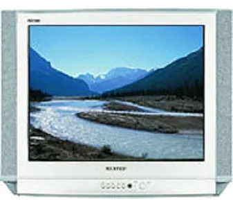 Ремонт блока управления Samsung CS-25D8 R