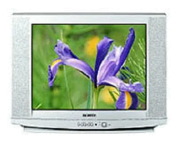 Ремонт блока управления Samsung CS-29U2Q