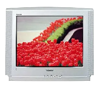Ремонт блока управления Samsung CS-29V5WTR